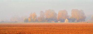 Tarım tarlaları ve ormanlar gün doğumunda sisle kaplandı. Açık mavi gökyüzü. Letonya 'da altın sonbahar. Idyllic kırsal; sahne