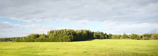 Зеленое Поле Драматическими Облаками Лес Заднем Плане Идиллическая Сельская Местность — стоковое фото
