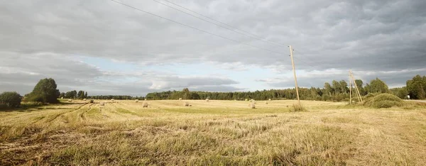 Caminho Através Campo Agrícola Cereais Sob Nuvens Dramáticas Linha Electricidade — Fotografia de Stock