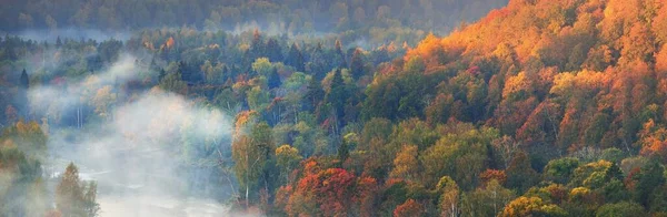 Breathtaking Panoramic Aerial View Colorful Red Orange Yellow Trees Mixed — Stock Photo, Image