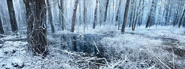 Pohled Shora Dolů Zamrzlou Řeku Zasněženém Opadavém Lese Úvahy Vodě — Stock fotografie