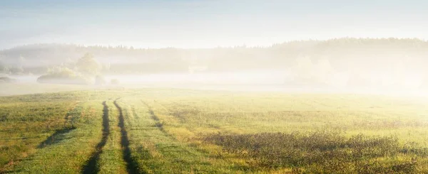 Tracce Del Trattore Sentiero Attraverso Campo Agricolo Verde Una Nube — Foto Stock