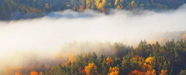 Impresionante Vista Aérea Los Coloridos Árboles Rojos Anaranjados Amarillos Bosque — Foto de Stock