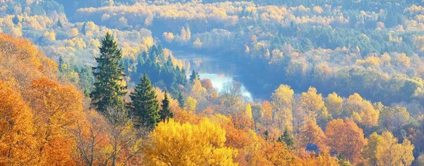 Adembenemend Panoramisch Uitzicht Kleurrijke Rode Oranje Gele Bomen Van Een — Stockfoto