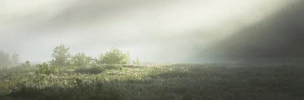 日の出の森の近くの小さな川 の絵のような風景 朝の霧 大気の風景 牧歌的な田園風景 純粋な自然 — ストック写真