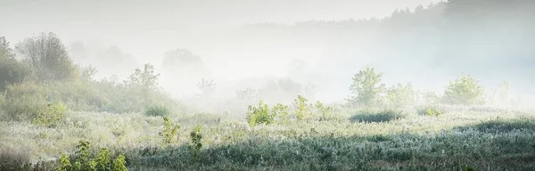 Pintoresco Paisaje Pequeño Río Pantano Cerca Del Bosque Amanecer Niebla — Foto de Stock
