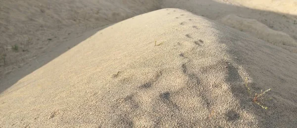 질감을 클로즈업합니다 스러운 배경을 숨막히게 합니다 해안선의 주제입니다 — 스톡 사진