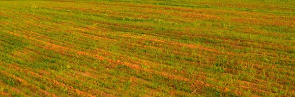 日落时的绿色农田和森林 拖拉机追踪特写 田园诗般的乡村风景 早秋农业和食品工业 环境破坏和养护 — 图库照片