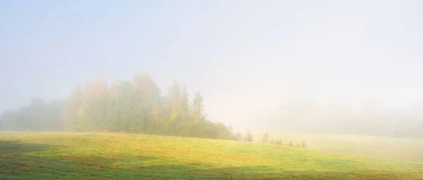 Picturesque Scenery Green Forest Hills Sunrise Trees Morning Fog Background — Stock Photo, Image