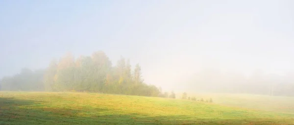 Pintoresco Paisaje Las Verdes Colinas Del Bosque Amanecer Árboles Una — Foto de Stock