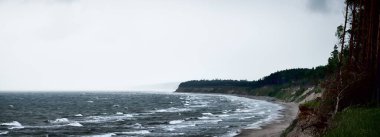 Fırtına sonrası dramatik bulutlar altında Baltık kıyısı (kum tepeleri) ve çam ormanı. - Letonya. Destansı deniz manzarası. Kasırga, fırtına, sert hava, meteoroloji, iklim değişikliği, doğal fenomen
