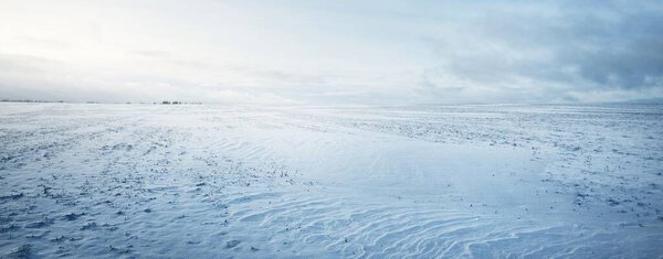 Panoramic view of the snow-covered field after a blizzard at sunset. Human tracks in a fresh snow. Ice desert. Dramatic cloudscape. Global warming theme. Lapland, Finland