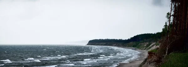 雷雨後の劇的な雲の下でバルト海沿岸 と松林 ラトビア 壮大な海の景色 サイクロン 気象学 気候変動 自然現象 — ストック写真