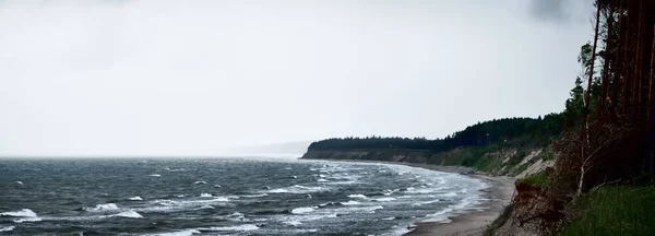 雷雨过后 波罗的海海岸 和松林笼罩在巨大的云彩之下 拉脱维亚 史诗般的海景气旋 恶劣天气 气象学 气候变化 自然现象 — 图库照片