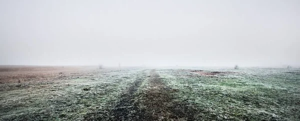 Droga Przez Zielone Pole Kraju Gęstej Białej Porannej Mgle Mróz — Zdjęcie stockowe