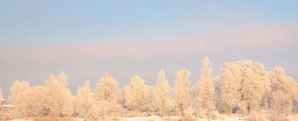 Árvores Cobertas Neve Parque Cidade Uma Vista Aterro Rio Daugava — Fotografia de Stock
