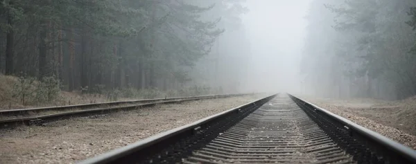 Voie Ferrée Dans Épais Brouillard Blanc Forêt Arrière Plan Concept — Photo