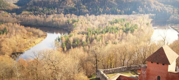 Impresionante Vista Aérea Panorámica Del Colorido Bosque Torre Del Castillo — Foto de Stock