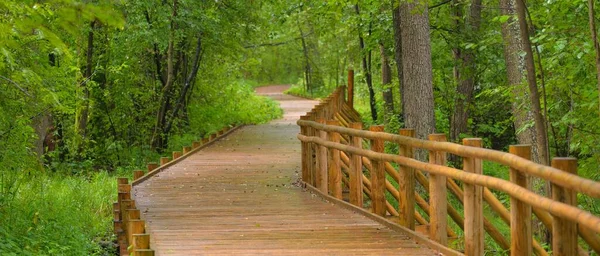 Moderní Dřevěná Vinoucí Stezka Promenáda Zelenými Listnatými Stromy Veřejném Parku — Stock fotografie