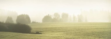 Gündoğumunda yeşil tarlalarda traktör izleri ve orman vardı. Altın güneş ışığı, sis, sis. Resimli sonbahar manzarası. Idyllic kırsal kesim. Saf doğa, ekoloji. Sepia resim tekniği