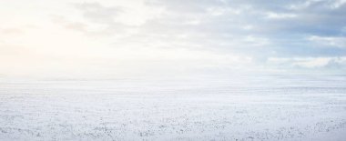 Gün batımında kar fırtınasından sonra karla kaplı arazinin panoramik görüntüsü. Taze karda insan izleri. Buz çölü. Dramatik bulut manzarası. Küresel ısınma teması. Laponya, Finlandiya