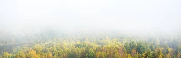 Valle Del Río Gauja Colorido Bosque Dorado Una Nube Espesa — Foto de Stock