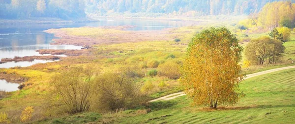 多加瓦河五彩缤纷的金桦树和弯曲的全景鸟瞰 拉脱维亚Latgale的Daugavas Loki自然公园 生态旅游 旅游目的地 — 图库照片