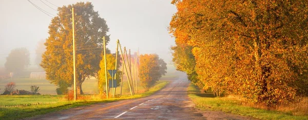 一条穿过村庄的古老的乡村沥青路 通往森林 电力线路特写 秋天乡村风景 生态旅游 公路旅行 — 图库照片