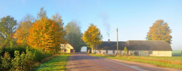 Eine Alte Asphaltstraße Durch Das Dorf Und Eine Eichenallee Traditionelles — Stockfoto
