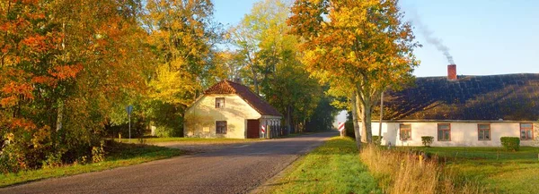 Old Country Asphalt Road Village Alley Oak Trees Traditional House — Stock Photo, Image