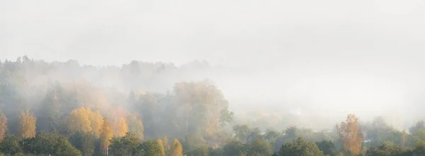 Зеленые Холмы Вспаханное Сельскохозяйственное Поле Тракторными Дорожками Лесом Рассвете Крупным — стоковое фото