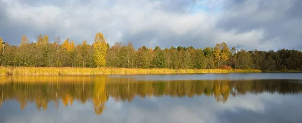 Panoramatický Výhled Lesní Jezero Pod Dramatickou Oblohou Při Východu Slunce — Stock fotografie