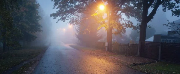 Empty Illuminated Country Asphalt Road Trees Small Town Fog Rainy — Stock Photo, Image