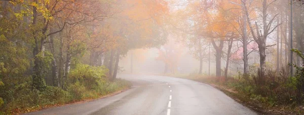 霧の中でカラフルな秋の森を通って空の曲がりくねった高速道路 アスファルトの道路 緑と黄金の白樺 カエデ オーク モミの木のクローズアップ 旅行先 — ストック写真