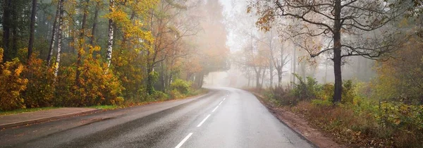 Uma Estrada Sinuosa Vazia Estrada Asfalto Através Floresta Outono Colorida — Fotografia de Stock