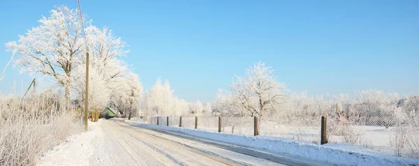 Snow Covered Country Road Village Tall Trees Hoarfrost Warm Sunlight — Stock Photo, Image