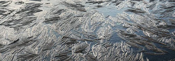 Lago Del Bosque Atardecer Hielo Roto Plantas Patrón Natural Textura — Foto de Stock