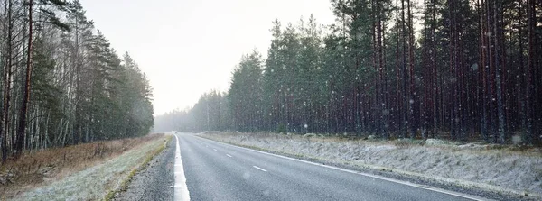 Tom Motorväg Asfalterad Väg Genom Den Vintergröna Tallskogen Efter Snöstorm — Stockfoto