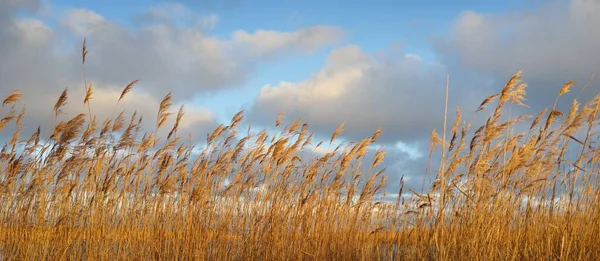 Uitzicht Oostzee Vanaf Een Zandstrand Heldere Zonsondergang Hemel Gloeiende Wolken — Stockfoto