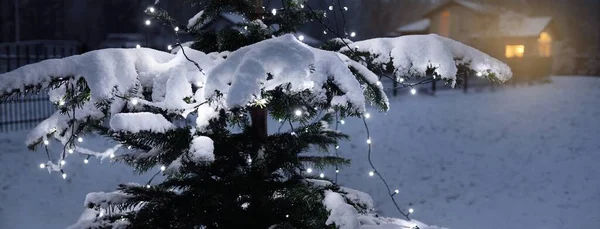 Снігова Ялина Освітлена Гірляндою Білих Вогнів Задньому Дворі Впритул Заміський — стокове фото