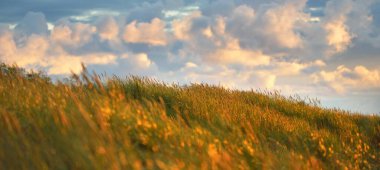 Gün batımında fırtınadan sonra Baltık deniz kıyısında parlayan kümülüs bulutlarıyla mavi gökyüzü, yakın çekim yeşil kum tepecikleri. Idyllic manzara. Ilık güneş ışığı. Seyahat yerleri, eko turizm