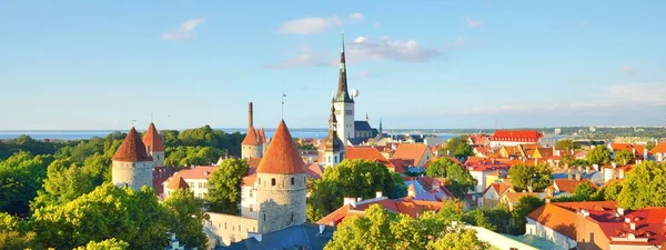 Güneşli Bir Yaz Gününde Tallinn Eski Kasabasının Hava Manzarası Olaf — Stok fotoğraf