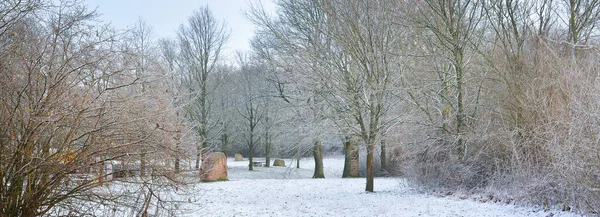 Verschneiter Stadtpark Mit Großen Ziersteinen Garten Deutschland Raureif Auf Den — Stockfoto