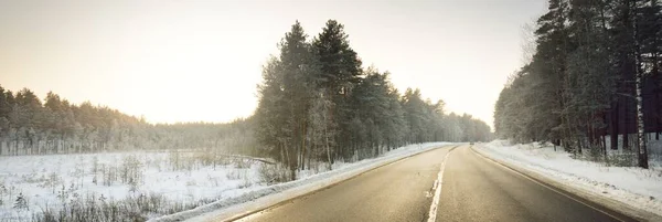 Una Strada Asfaltata Pulita Vuota Attraverso Foresta Conifere Tramonto Pino — Foto Stock