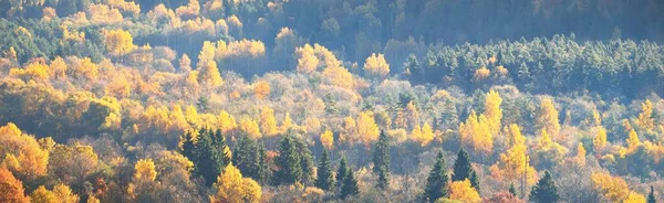 Golden Forest Hills Morning Fog Panoramic Aerial View Dreamlike Autumn — Fotografia de Stock