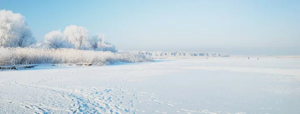 Een Bevroren Meer Hoge Loofbomen Vorst Een Sneeuwstorm Close Menselijke — Stockfoto