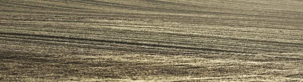 Grün Gepflügtes Landwirtschaftliches Feld Traktorspuren Nahaufnahme Malerische Panoramalandschaft Ländliche Szenerie — Stockfoto