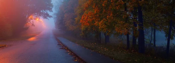 Empty Illuminated Country Asphalt Road Trees Village Fog Rainy Autumn — Stock Photo, Image