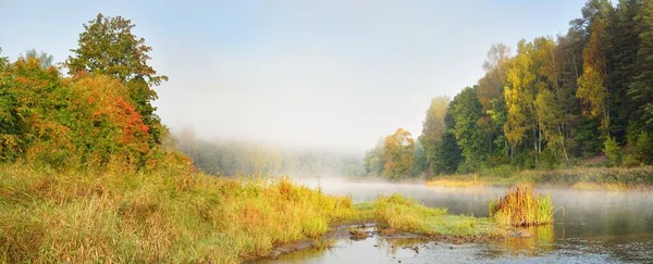 霧の中で森の川の絵のような鮮やかな風景 水の反射 自然の鏡 暗い大気の風景 ラトビア ヨーロッパの自然 生態系 環境保全 — ストック写真