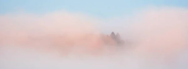 Долина Річки Гауджа Сосновий Ліс Хмарах Рожевого Ранкового Туману Світанку — стокове фото